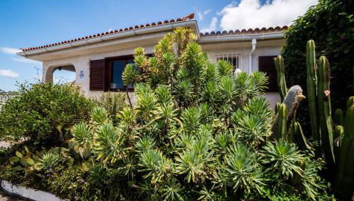 La Favorita - Foto 4