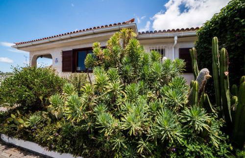 La Favorita - Foto 4