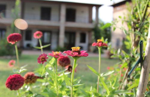 Il Ghiandolino - Foto 12