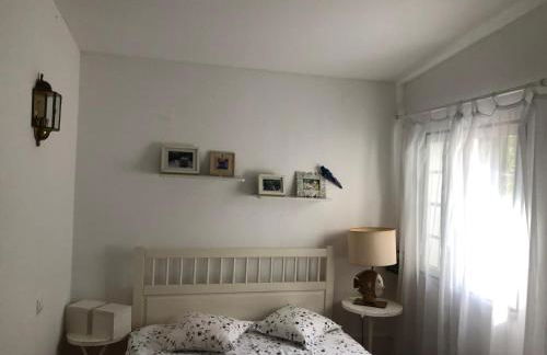 Beachfront Villa with Private Beach Access, Ocean Views, Pool, - Foto 11