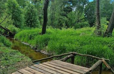 Sosnowy Strumyk - Foto 39