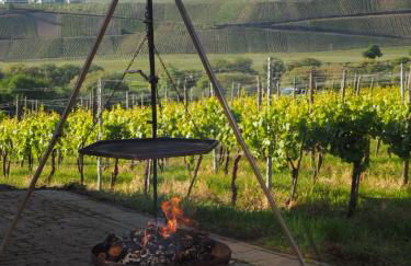 Weingut & Gästehaus Andreas Erz - Foto 11