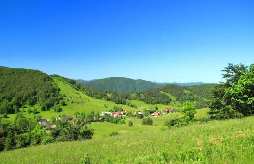 Chalet Zavrh with Private Heated Pool - Foto 59