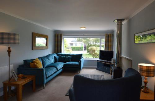 March Brown - Foto 4