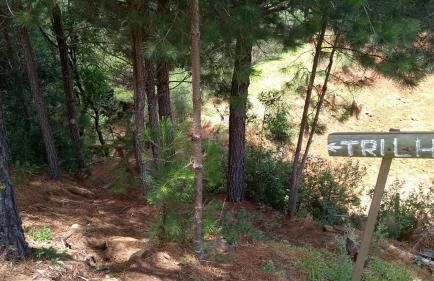 CHALÉ ESTÂNCIA OURO VERDE - Photo 29