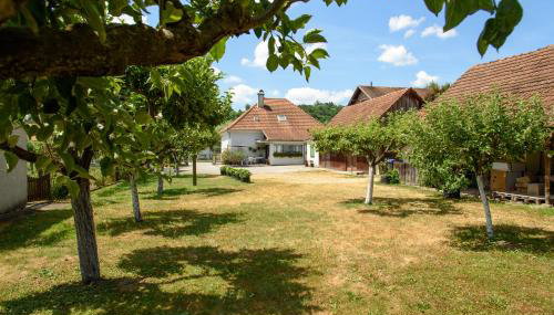 Apartment Mia - Foto 3, Garden