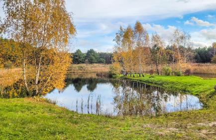 Agroturystyka Nad Wartą - Foto 49