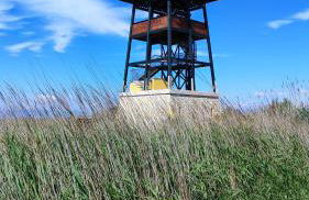 La Barcassa de Deltebre - Foto 29