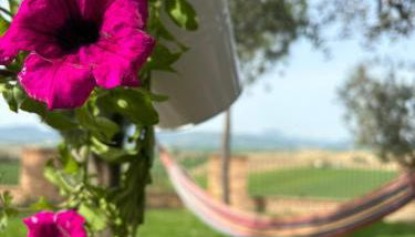 Casale Monte Amato - Foto 4