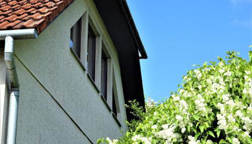 Neubrandenburg-Wasser,Natur,Zentrum,Ladestation für E-Autos - Foto 5