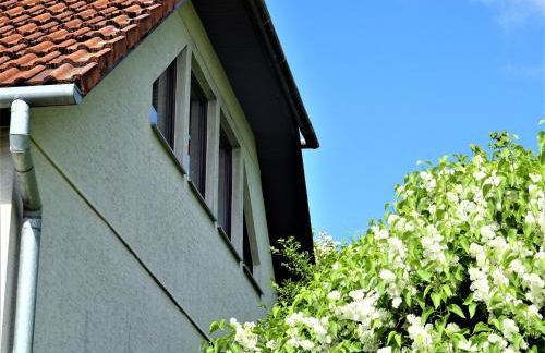 Neubrandenburg-Wasser,Natur,Zentrum,Ladestation für E-Autos - Foto 5