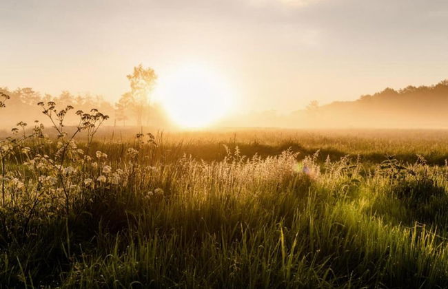 Farmhouse in Friesland Near Frisian Waters - Foto 43