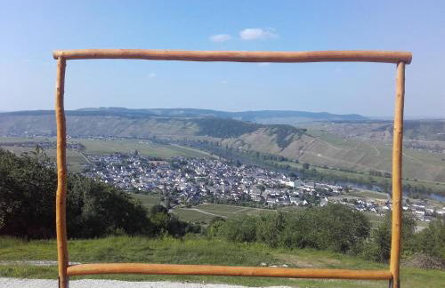 Ferienweingut Ulrike Thul - Foto 8