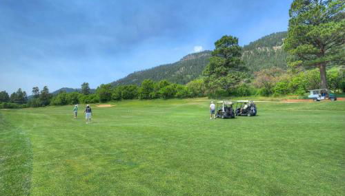 Tamarron Gambel Oak 790 - Wild Turkey Ridge - Durango CO - Foto 4