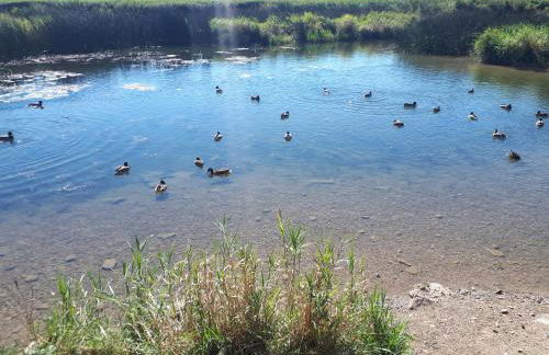 La Lusitanie,meublé de tourisme - Foto 23