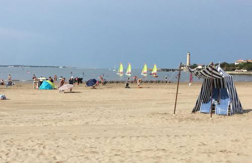 Lis du Japon - Foto 13