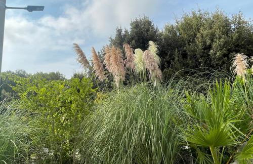 Villa Romina - Foto 38