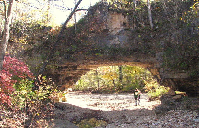 Rock Eddy Bluff Farm - Photo 38