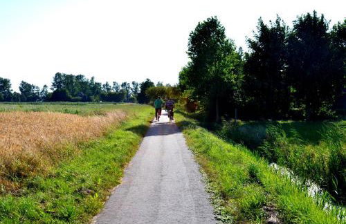 Reiterhof Gründeich - Foto 61