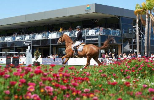 Apartamentos Las Dunas - Photo 33