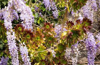 Il Nido a Portovenere - Foto 72