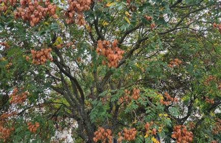 Laura Exclusive, dizajnerski uređen stan, izvrsno opremljen, self check-in - Foto 54