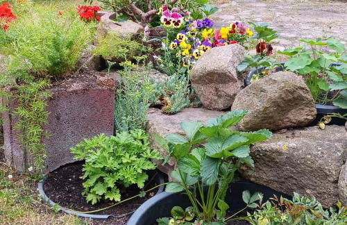 Agroturystyka Pod Dębem - Foto 39