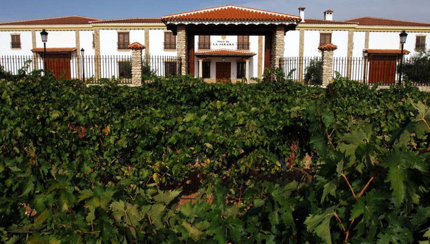 Visit the Pago de La Jaraba Estate in Villarrobledo