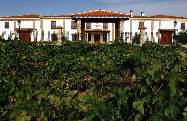 Visita a la finca Pago de La Jaraba - Foto 2