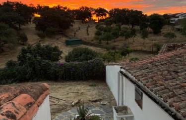 La Casa del Jardín - Foto 15