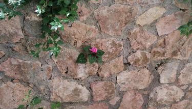 Panoramica Flat - Foto 5