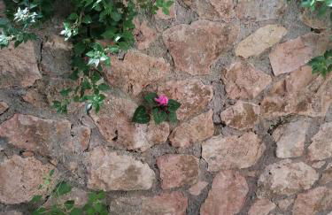 Panoramica Flat - Foto 5