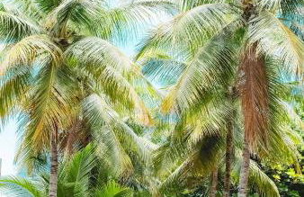 Morada da Praia - Porto de Pedras à Beira-Mar - Foto 22