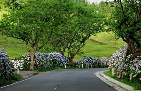 Vivenda Cinco Reis - Photo 36