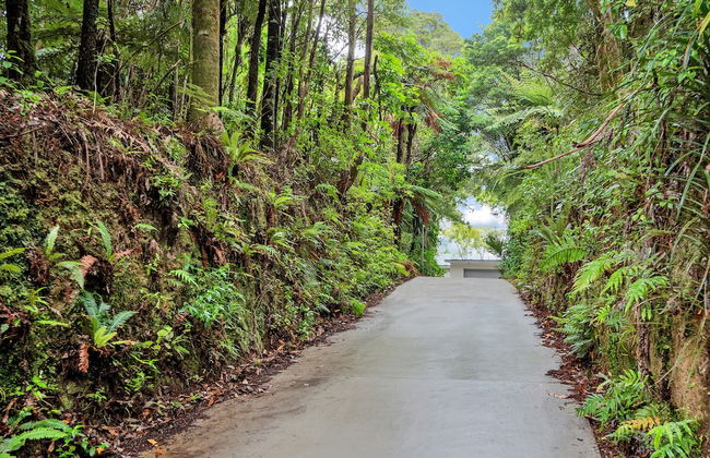 Spectacular Hilltop Retreat near Piha - Foto 28