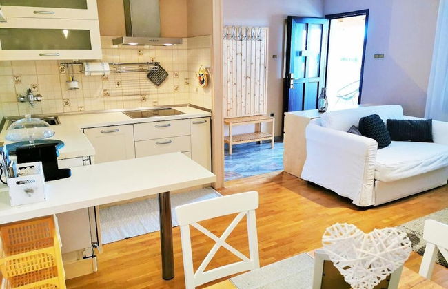 Tiny Shell House - Photo 8