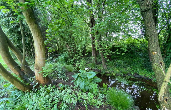 Charming Farmhouse Near the bay of Mont St Michel - Foto 14