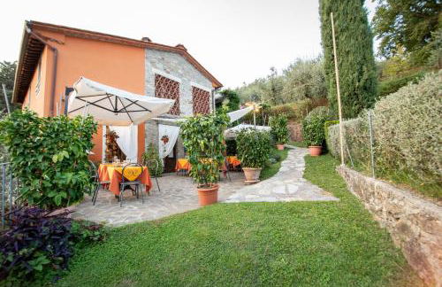 Casetta di Butia, Ginestra apartment with swimming pool - Foto 47