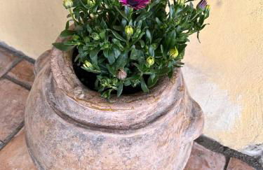 Casa laggiù - Foto 57