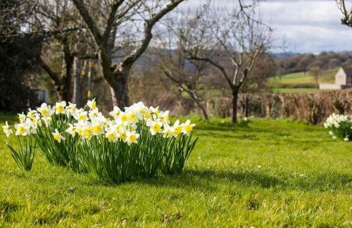 Stargazer's Loft - Photo 17