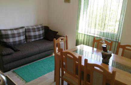 Apartment Gradina - Foto 16