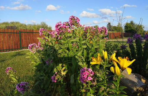 Mazurski Staw - Foto 43