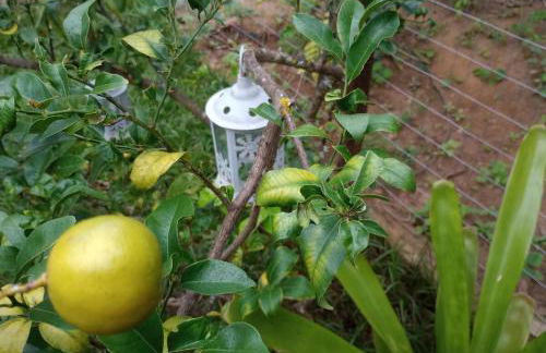 Casa do Cedro - Foto 16