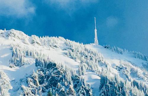 Landhaus Bergheimat in Burgberg für bis zu 14 Personen - Photo 44