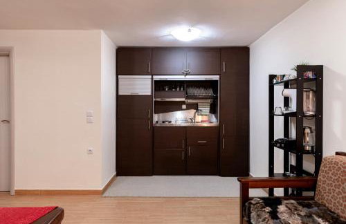 Del Mountain Home Arachova - Foto 23