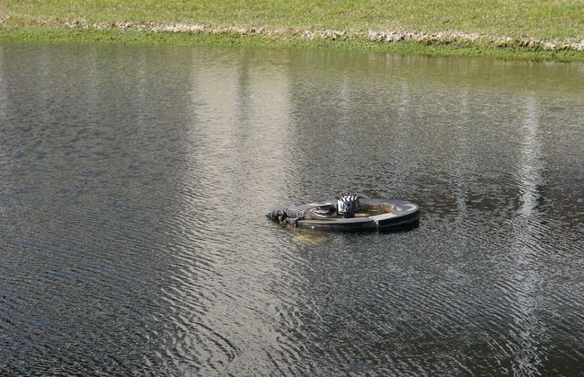 102 Natures way Unit 2303 - Foto 14