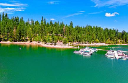 Home in the Pines - Apple Hill - Dog Friendly - Snow Nearby - Foto 42