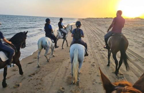 Loft Central - Foto 20