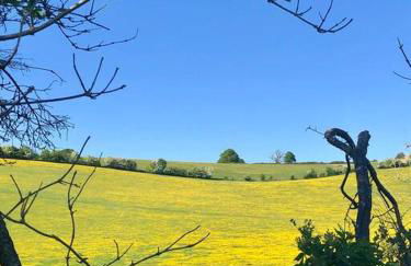 Linden Suite - Foto 47