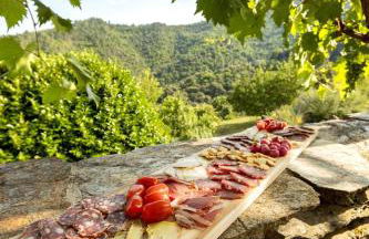 Les Hôtes du Chataignier - Foto 33